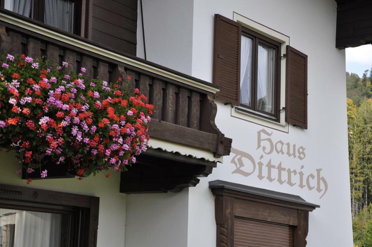 Haus Dittrich Appartement Kirchberg in Tirol Buitenkant foto